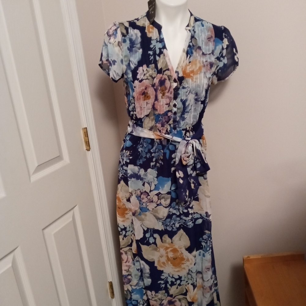 NWT Robert Louis semi sheer floral maxi dress